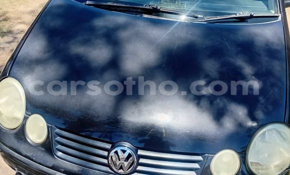 Buy Used Volkswagen Polo Black Car in Maseru in Maseru Buy Used Volkswagen Polo Black Car in Maseru in Maseru