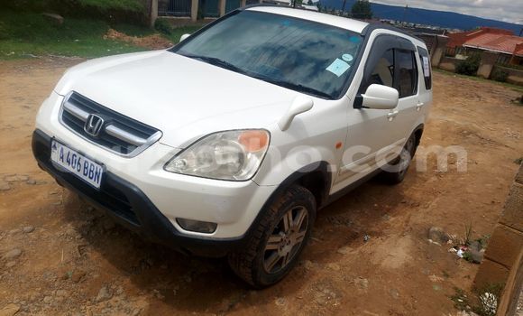 Buy Used Honda CR–V White Car in Maseru in Maseru Buy Used Honda CR–V White Car in Maseru in Maseru