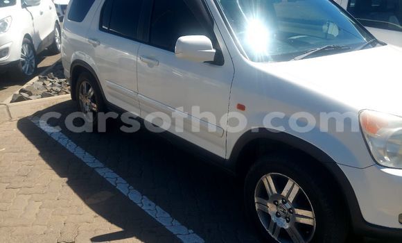 Buy Used Honda CR–V White Car in Maseru in Maseru Buy Used Honda CR–V White Car in Maseru in Maseru