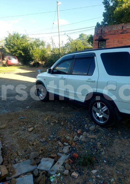 Big with watermark honda cr v maseru maseru 31083