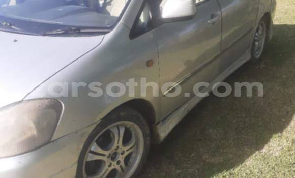 Buy Used Toyota Ipsum Other Car in Maseru in Maseru Buy Used Toyota Ipsum Other Car in Maseru in Maseru