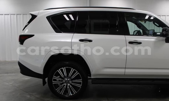 Buy Used Lexus LX White Car in Mafeteng in Mafeteng Buy Used Lexus LX White Car in Mafeteng in Mafeteng