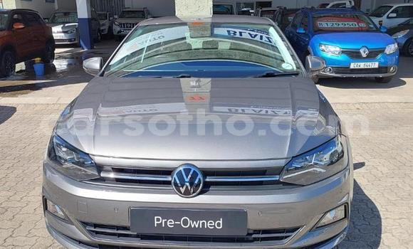 Buy Used Volkswagen Polo Other Car in Maseru in Maseru