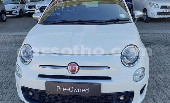 Buy Used Fiat 500 White Car in Maseru in Maseru
