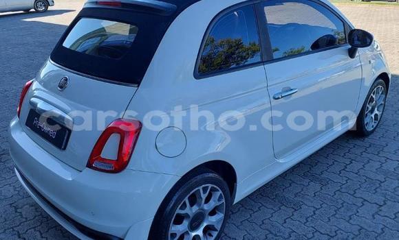 Buy Used Fiat 500 White Car in Maseru in Maseru Buy Used Fiat 500 White Car in Maseru in Maseru