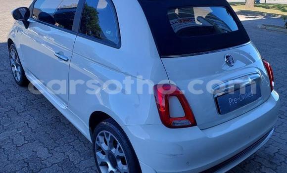 Buy Used Fiat 500 White Car in Maseru in Maseru Buy Used Fiat 500 White Car in Maseru in Maseru