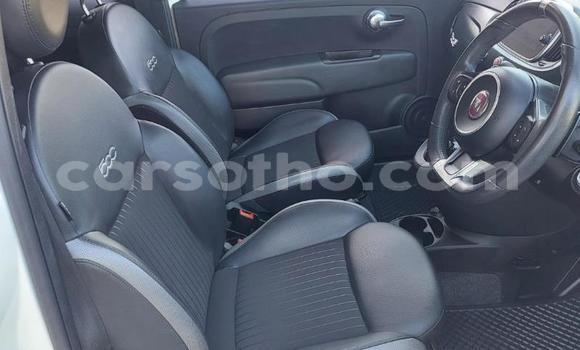 Buy Used Fiat 500 White Car in Maseru in Maseru Buy Used Fiat 500 White Car in Maseru in Maseru