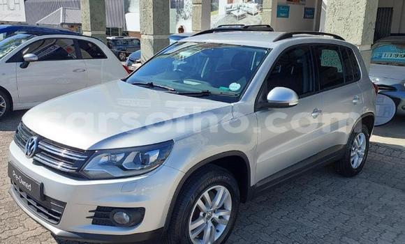 Buy Used Volkswagen Tiguan Silver Car in Maseru in Maseru Buy Used Volkswagen Tiguan Silver Car in Maseru in Maseru