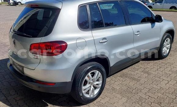 Buy Used Volkswagen Tiguan Silver Car in Maseru in Maseru Buy Used Volkswagen Tiguan Silver Car in Maseru in Maseru