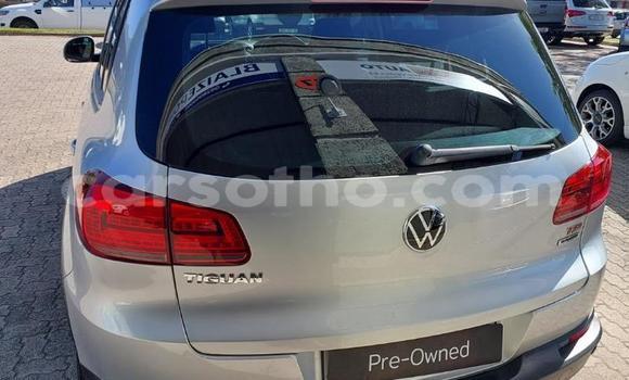 Buy Used Volkswagen Tiguan Silver Car in Maseru in Maseru Buy Used Volkswagen Tiguan Silver Car in Maseru in Maseru