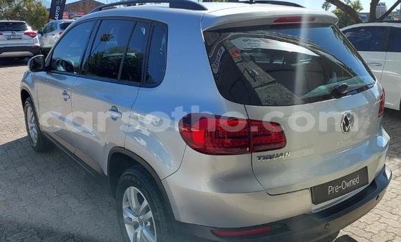 Buy Used Volkswagen Tiguan Silver Car in Maseru in Maseru Buy Used Volkswagen Tiguan Silver Car in Maseru in Maseru