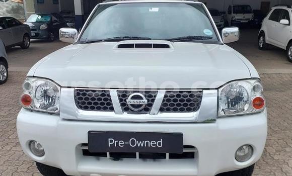 Buy Used Nissan NP 300 White Car in Maseru in Maseru