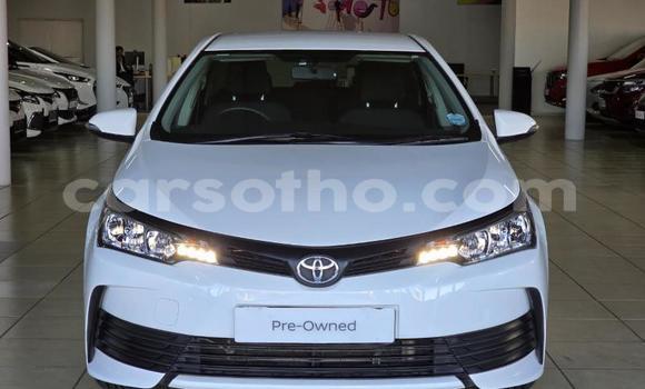Buy Used Toyota Corolla White Car in Maseru in Maseru