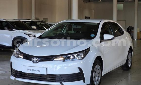 Buy Used Toyota Corolla White Car in Maseru in Maseru Buy Used Toyota Corolla White Car in Maseru in Maseru