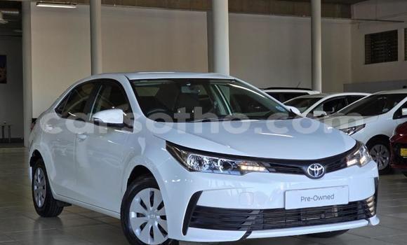 Buy Used Toyota Corolla White Car in Maseru in Maseru Buy Used Toyota Corolla White Car in Maseru in Maseru