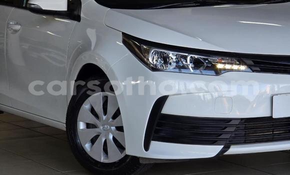 Buy Used Toyota Corolla White Car in Maseru in Maseru Buy Used Toyota Corolla White Car in Maseru in Maseru