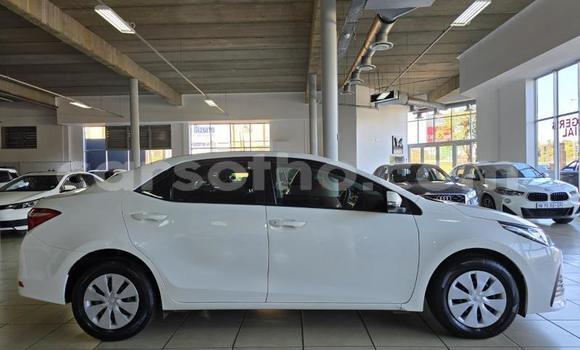 Buy Used Toyota Corolla White Car in Maseru in Maseru Buy Used Toyota Corolla White Car in Maseru in Maseru