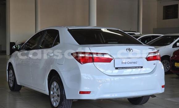 Buy Used Toyota Corolla White Car in Maseru in Maseru Buy Used Toyota Corolla White Car in Maseru in Maseru