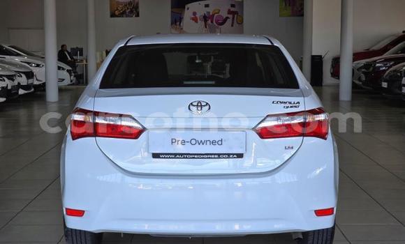 Buy Used Toyota Corolla White Car in Maseru in Maseru Buy Used Toyota Corolla White Car in Maseru in Maseru