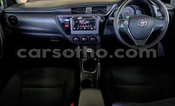 Buy Used Toyota Corolla White Car in Maseru in Maseru Buy Used Toyota Corolla White Car in Maseru in Maseru