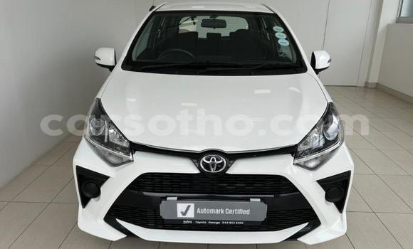 Buy Used Toyota Aygo White Car in Maseru in Maseru