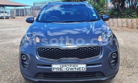 Buy Used Kia Sportage Other Car in Maseru in Maseru