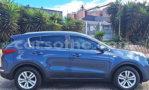 Buy Used Kia Sportage Other Car in Maseru in Maseru Buy Used Kia Sportage Other Car in Maseru in Maseru