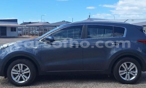Buy Used Kia Sportage Other Car in Maseru in Maseru Buy Used Kia Sportage Other Car in Maseru in Maseru
