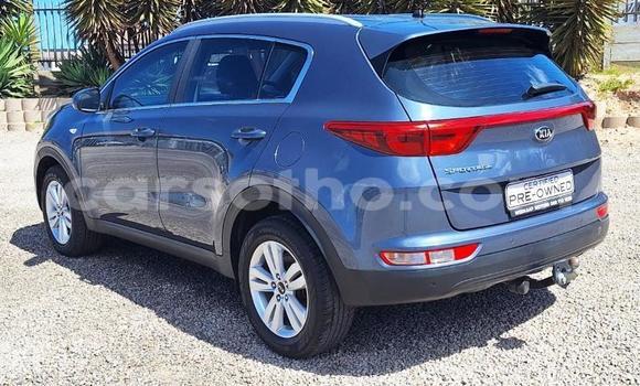 Buy Used Kia Sportage Other Car in Maseru in Maseru Buy Used Kia Sportage Other Car in Maseru in Maseru