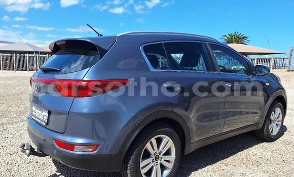 Buy Used Kia Sportage Other Car in Maseru in Maseru Buy Used Kia Sportage Other Car in Maseru in Maseru