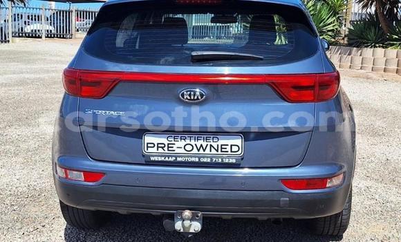 Buy Used Kia Sportage Other Car in Maseru in Maseru Buy Used Kia Sportage Other Car in Maseru in Maseru