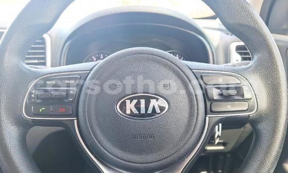 Buy Used Kia Sportage Other Car in Maseru in Maseru Buy Used Kia Sportage Other Car in Maseru in Maseru