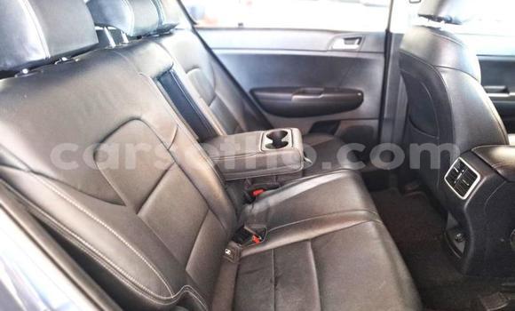 Buy Used Kia Sportage Other Car in Maseru in Maseru Buy Used Kia Sportage Other Car in Maseru in Maseru