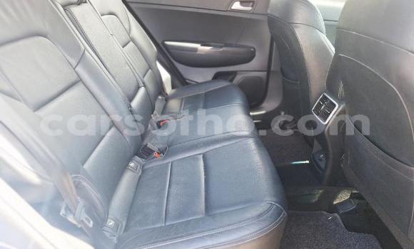 Buy Used Kia Sportage Other Car in Maseru in Maseru Buy Used Kia Sportage Other Car in Maseru in Maseru