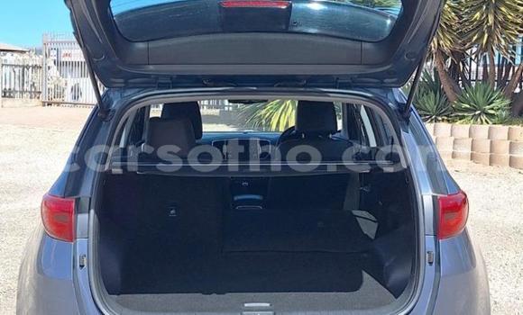 Buy Used Kia Sportage Other Car in Maseru in Maseru Buy Used Kia Sportage Other Car in Maseru in Maseru