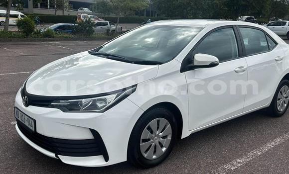اشتري مستعمل Toyota Corolla White سيارة في Maseru في Maseru اشتري مستعمل Toyota Corolla White سيارة في Maseru في Maseru