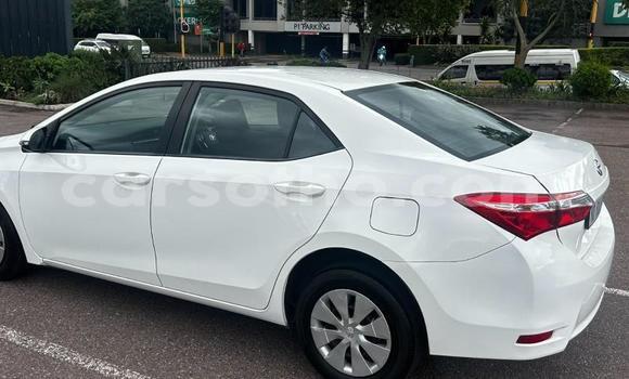 اشتري مستعمل Toyota Corolla White سيارة في Maseru في Maseru اشتري مستعمل Toyota Corolla White سيارة في Maseru في Maseru