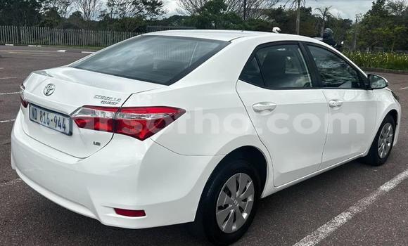 اشتري مستعمل Toyota Corolla White سيارة في Maseru في Maseru اشتري مستعمل Toyota Corolla White سيارة في Maseru في Maseru