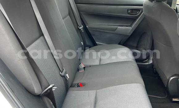 اشتري مستعمل Toyota Corolla White سيارة في Maseru في Maseru اشتري مستعمل Toyota Corolla White سيارة في Maseru في Maseru