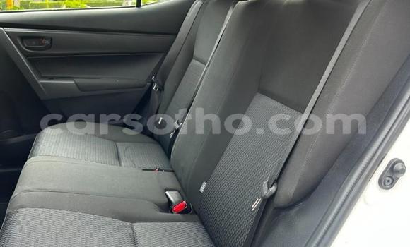 اشتري مستعمل Toyota Corolla White سيارة في Maseru في Maseru اشتري مستعمل Toyota Corolla White سيارة في Maseru في Maseru