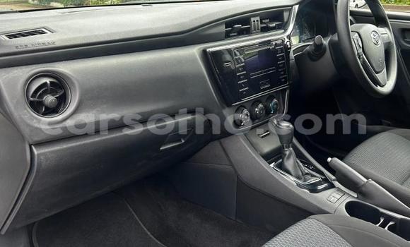 اشتري مستعمل Toyota Corolla White سيارة في Maseru في Maseru اشتري مستعمل Toyota Corolla White سيارة في Maseru في Maseru
