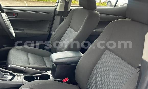 اشتري مستعمل Toyota Corolla White سيارة في Maseru في Maseru اشتري مستعمل Toyota Corolla White سيارة في Maseru في Maseru