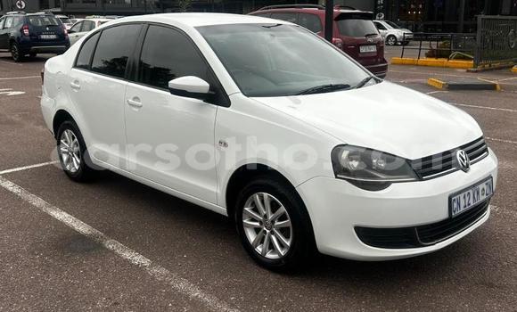 اشتري مستعمل Volkswagen Polo White سيارة في Maseru في Maseru اشتري مستعمل Volkswagen Polo White سيارة في Maseru في Maseru