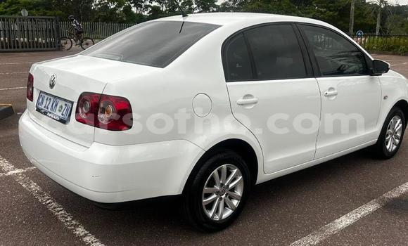 اشتري مستعمل Volkswagen Polo White سيارة في Maseru في Maseru اشتري مستعمل Volkswagen Polo White سيارة في Maseru في Maseru
