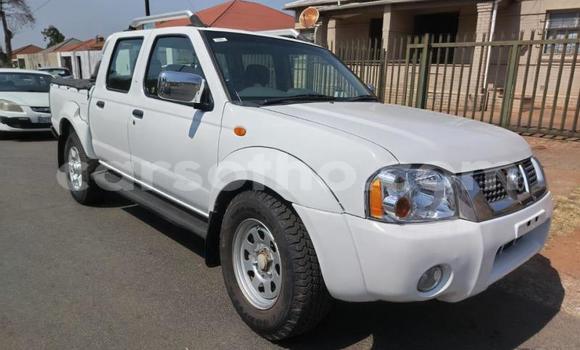 Buy Used Nissan NP 300 White Car in Maseru in Maseru