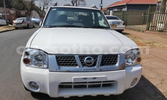 اشتري مستعمل Nissan NP 300 White سيارة في Maseru في Maseru اشتري مستعمل Nissan NP 300 White سيارة في Maseru في Maseru