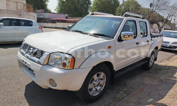 اشتري مستعمل Nissan NP 300 White سيارة في Maseru في Maseru اشتري مستعمل Nissan NP 300 White سيارة في Maseru في Maseru