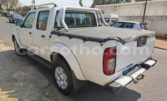 اشتري مستعمل Nissan NP 300 White سيارة في Maseru في Maseru اشتري مستعمل Nissan NP 300 White سيارة في Maseru في Maseru