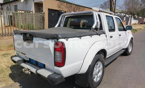 اشتري مستعمل Nissan NP 300 White سيارة في Maseru في Maseru اشتري مستعمل Nissan NP 300 White سيارة في Maseru في Maseru