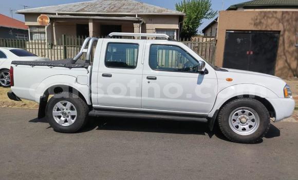 اشتري مستعمل Nissan NP 300 White سيارة في Maseru في Maseru اشتري مستعمل Nissan NP 300 White سيارة في Maseru في Maseru
